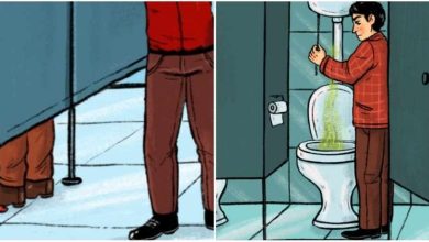 9 razões pelas quais as portas dos banheiros públicos não chegam ao chão