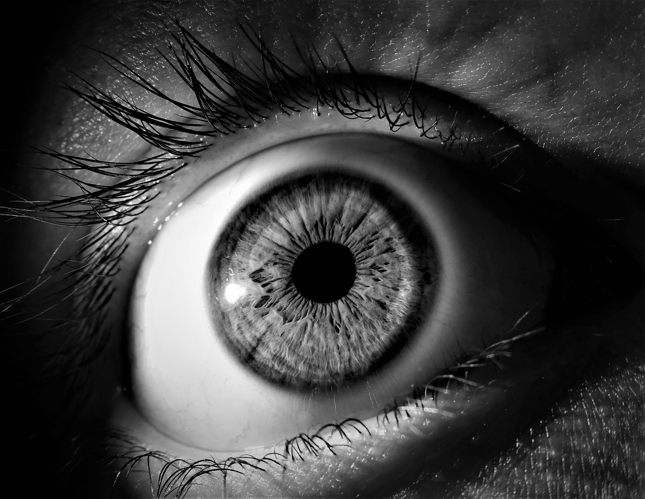 Por que a pupila dilata? 10 curiosidades sobre os nossos olhos